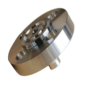 Flangia in acciaio forgiato piastra DN10-DN2000 ASTM / DIN standard Ss A182 304L 316L 