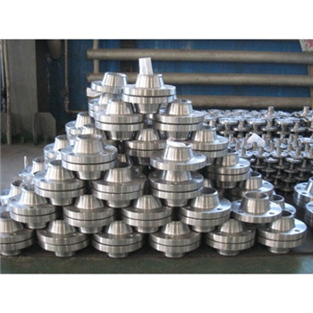 Flangia in acciaio forgiato piastra DN10-DN2000 ASTM / DIN standard Ss A182 304L 316L 