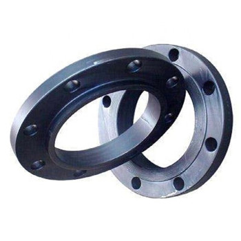ANSI / DIN forgiato carbonio / acciaio inossidabile Pn10 / 16 collo di saldatura / cieco / slip on / piatto / RF / FF Flange per tubi 